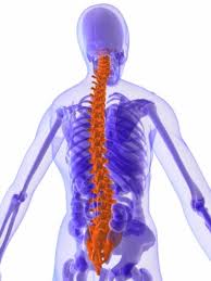 Laminoplasty Spine Surgery in India